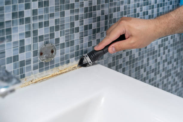 Best Toxic Mold Removal  in Alpine, UT